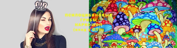 меф Богородск