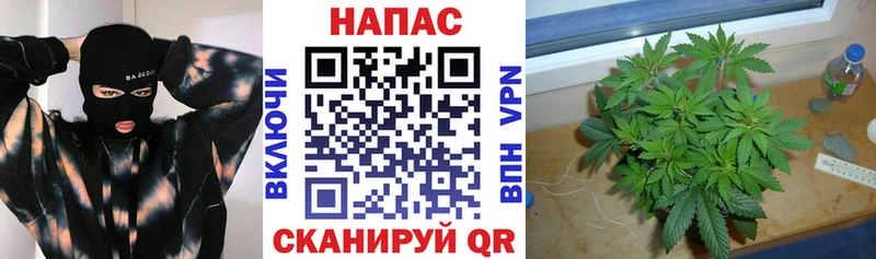 МАРИХУАНА OG Kush  даркнет сайт  блэк спрут ССЫЛКА  Торжок 